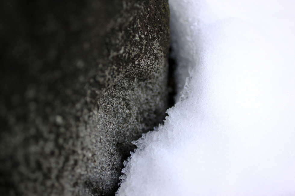 Snow close-up at Fort Wethrill