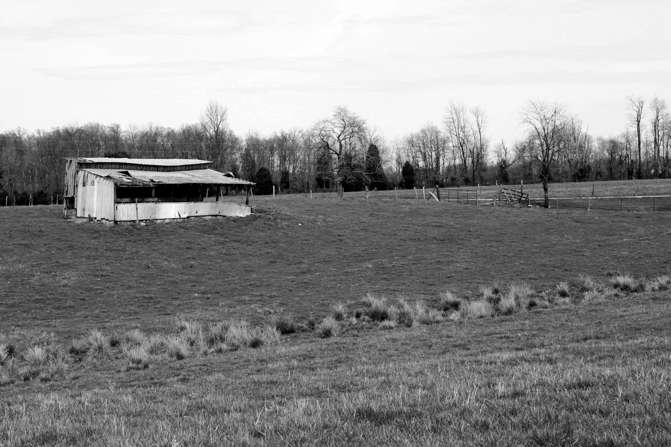 Sunman abandoned barn
